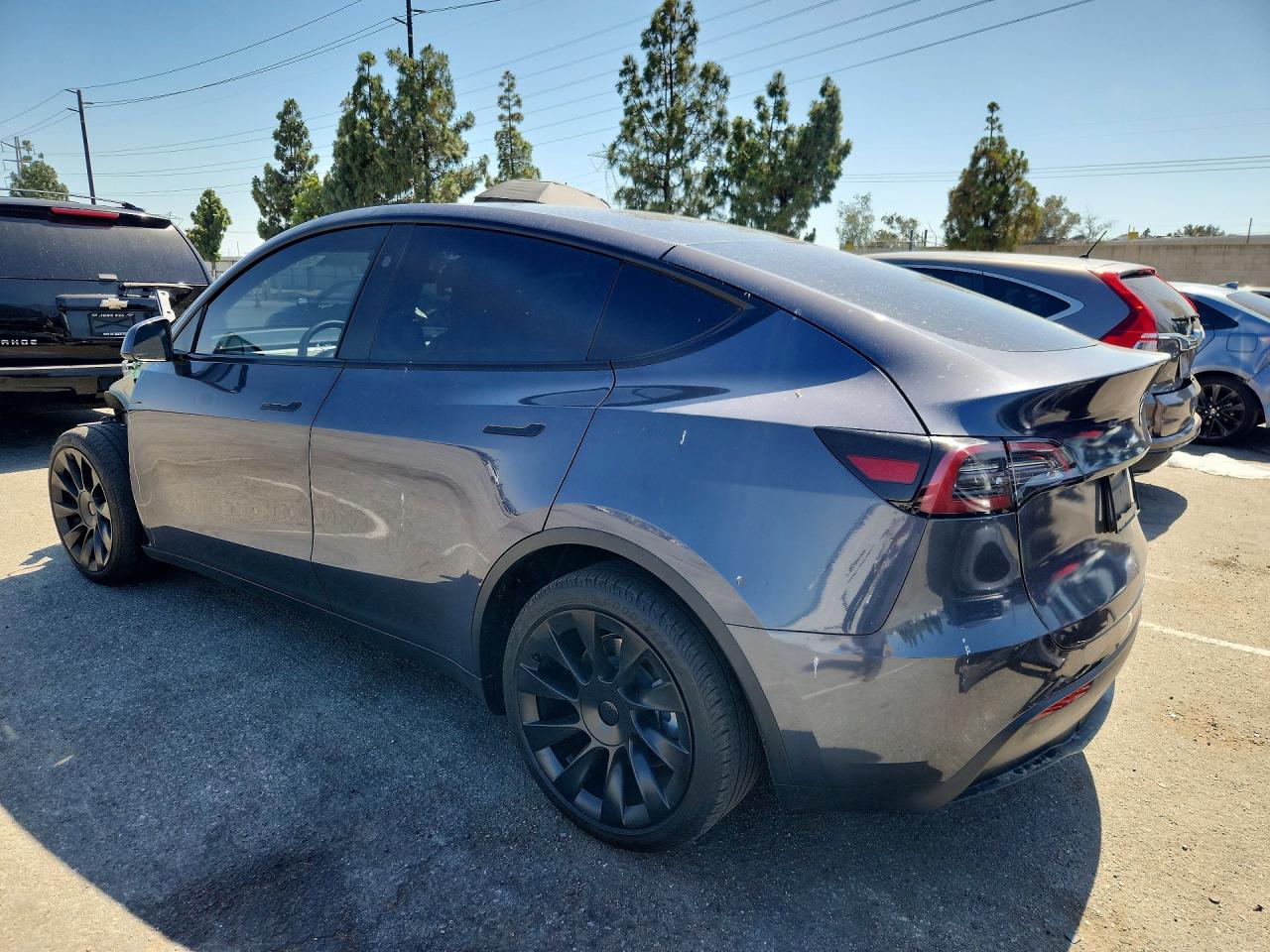 2023 Tesla Model Y - Фото 2