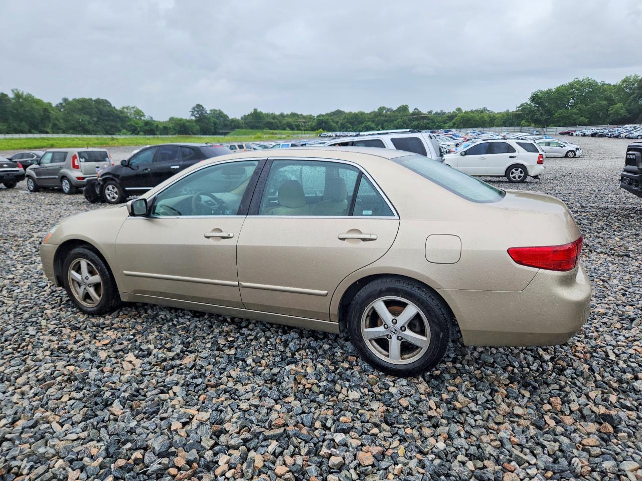 2005 Honda Accord Ex - Image 2