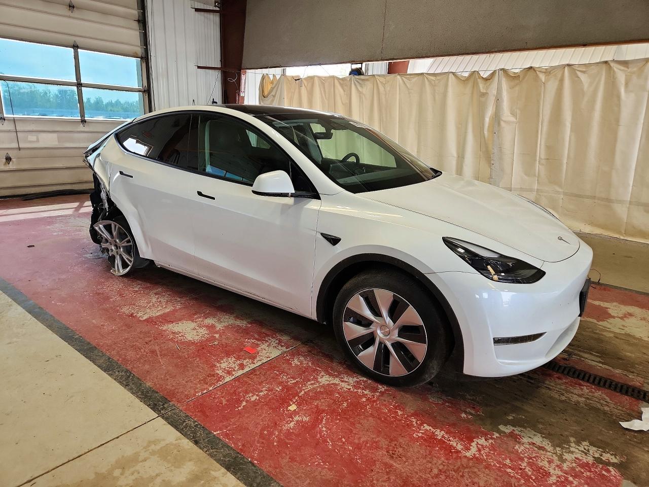 2023 Tesla Model Y - Фото 4