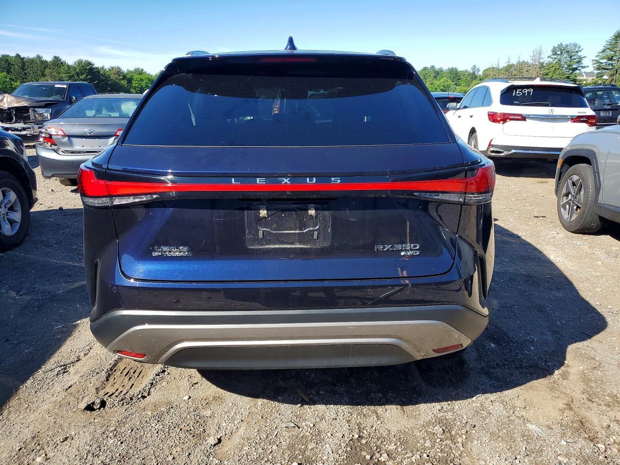 2024 Lexus Rx 350 Luxury - Image 6