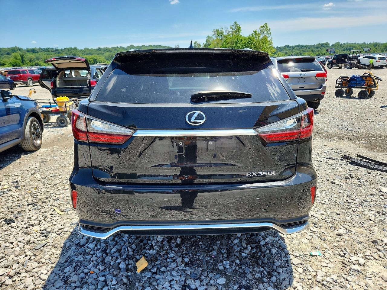 2019 Lexus Rx 350 L - Фото 6