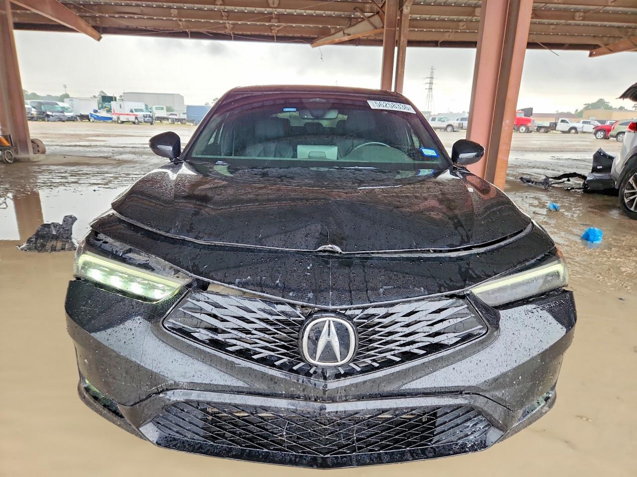 2024 Acura Integra A-Spec - Фото 5
