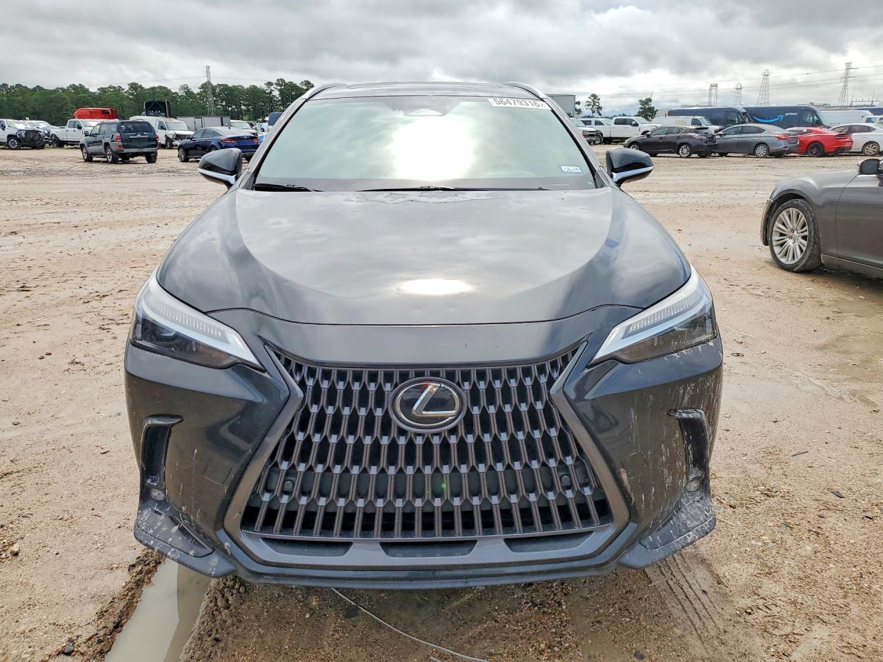 2024 Lexus Nx - Image 5