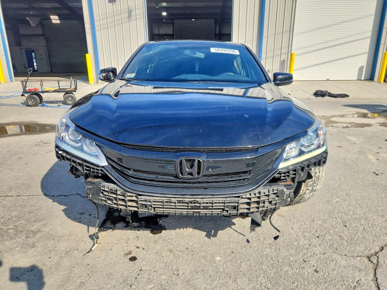2017 Honda Accord Sport Special Edition - Фото 5