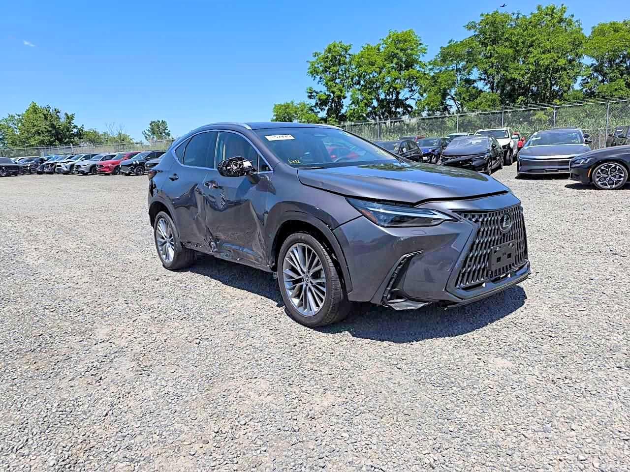 2024 Lexus Nx 350 Luxury - Image 3