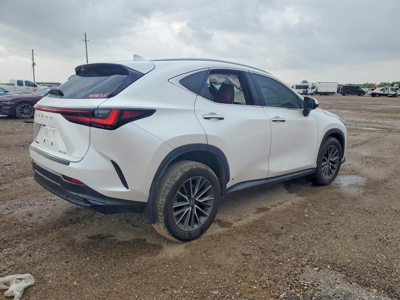 2024 Lexus Nx 250 Premium - Фото 3