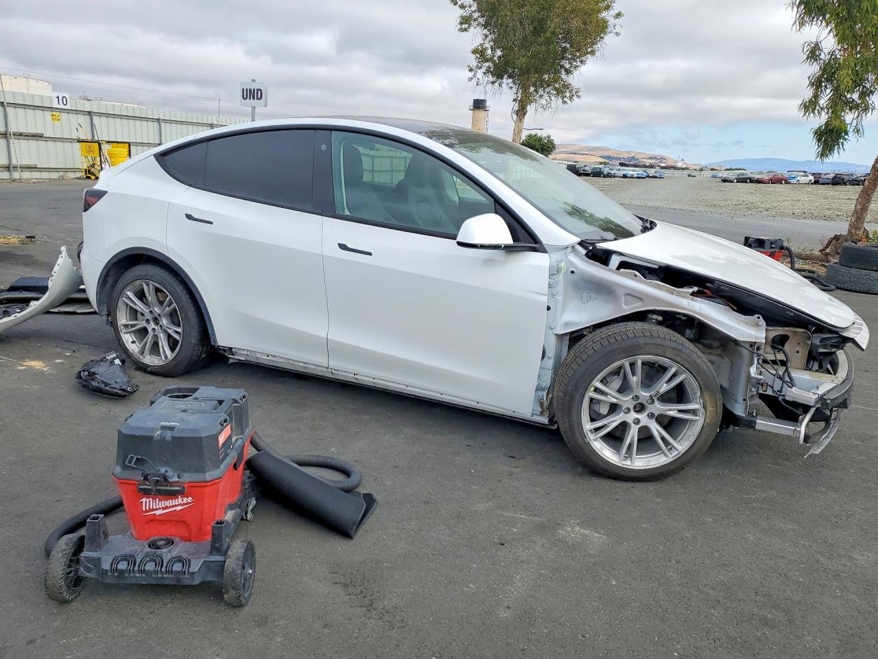 2023 Tesla Model Y - Фото 4