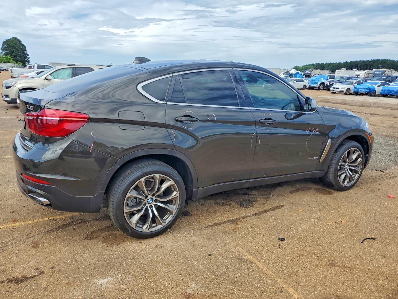 2019 BMW X6 xDrive35I - Фото 3