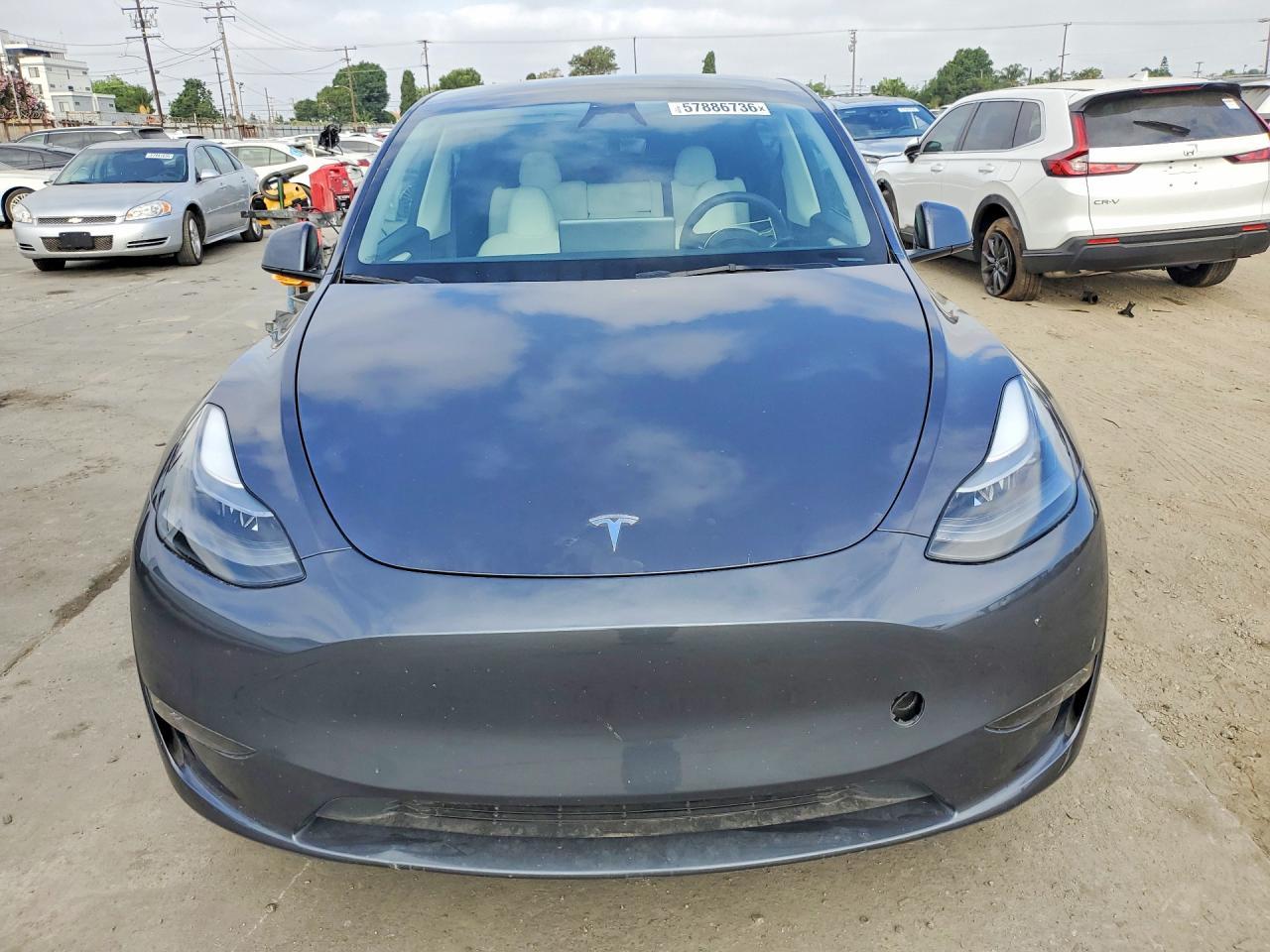 2023 Tesla Model Y - Фото 5