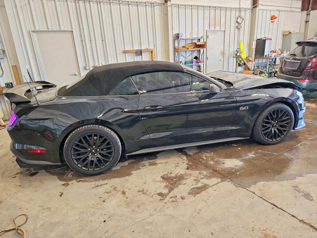 2019 Ford Mustang Gt - Image 3