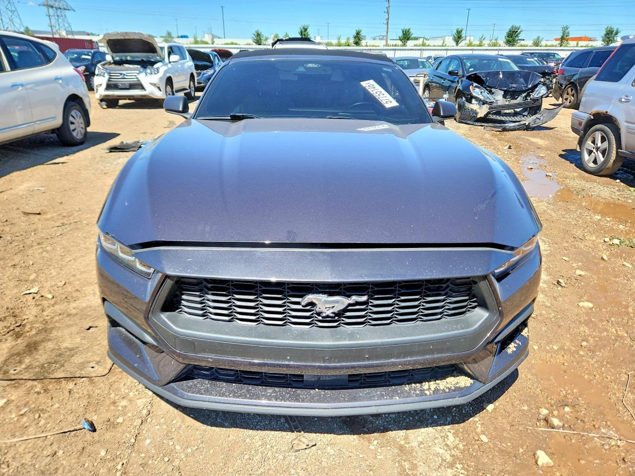 2024 Ford Mustang - Image 5