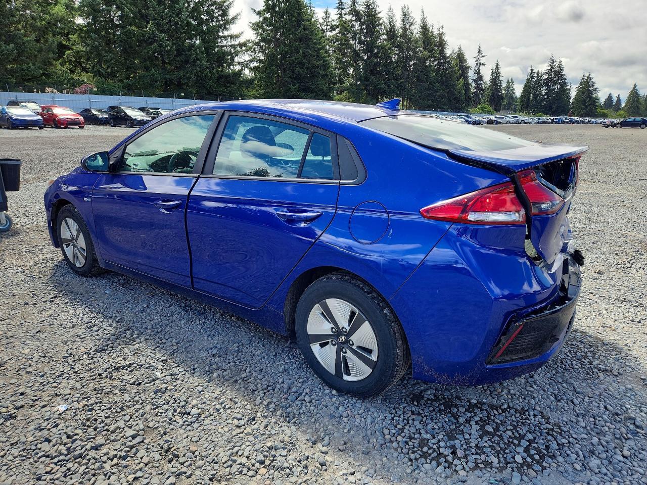 2019 Hyundai Ioniq Blue - Фото 2