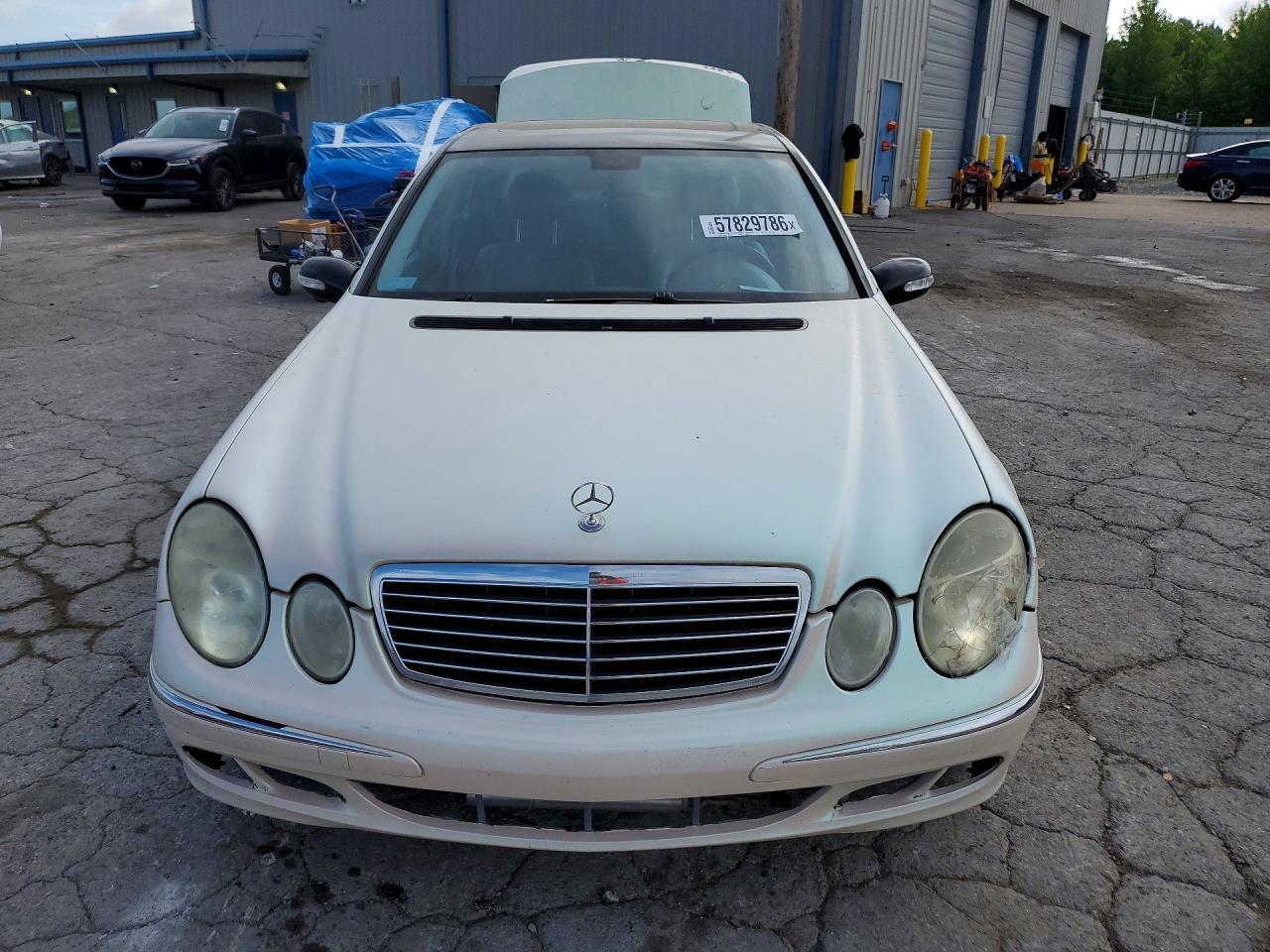 2004 Mercedes-Benz E 500 - Фото 5