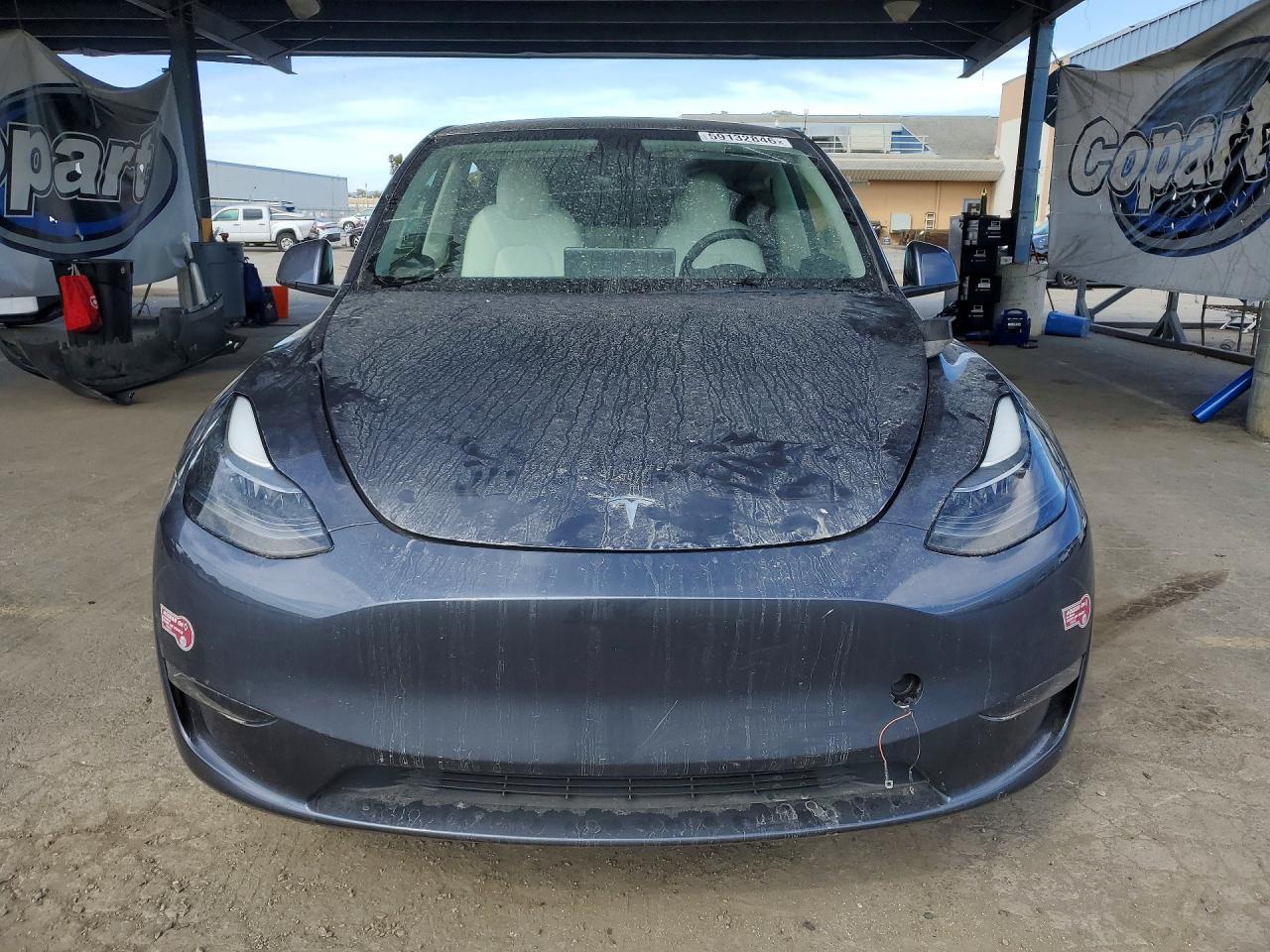 2023 Tesla Model Y - Фото 5