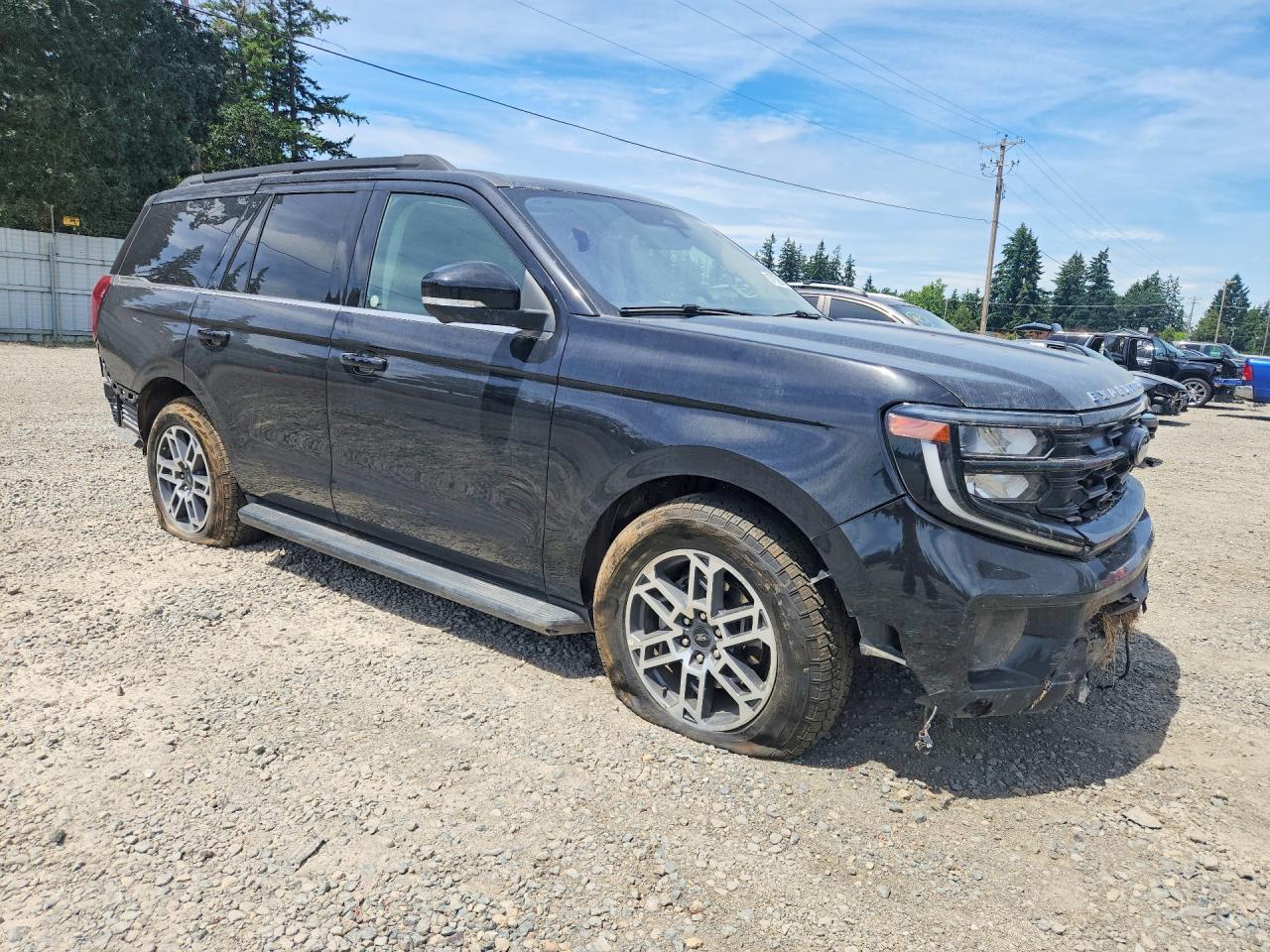 2025 Ford Expedition Active - Фото 4