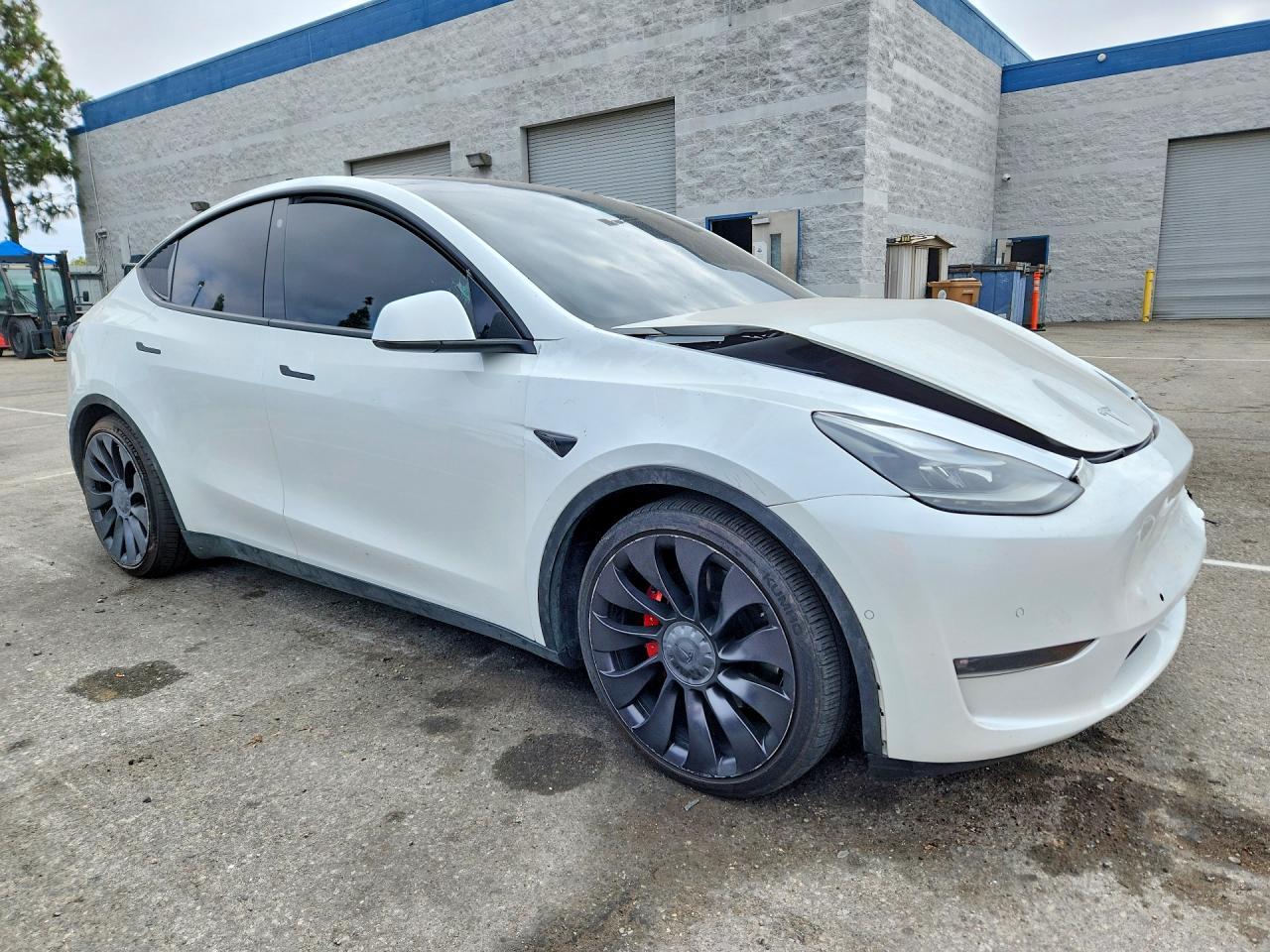 2021 Tesla Model Y - Фото 4