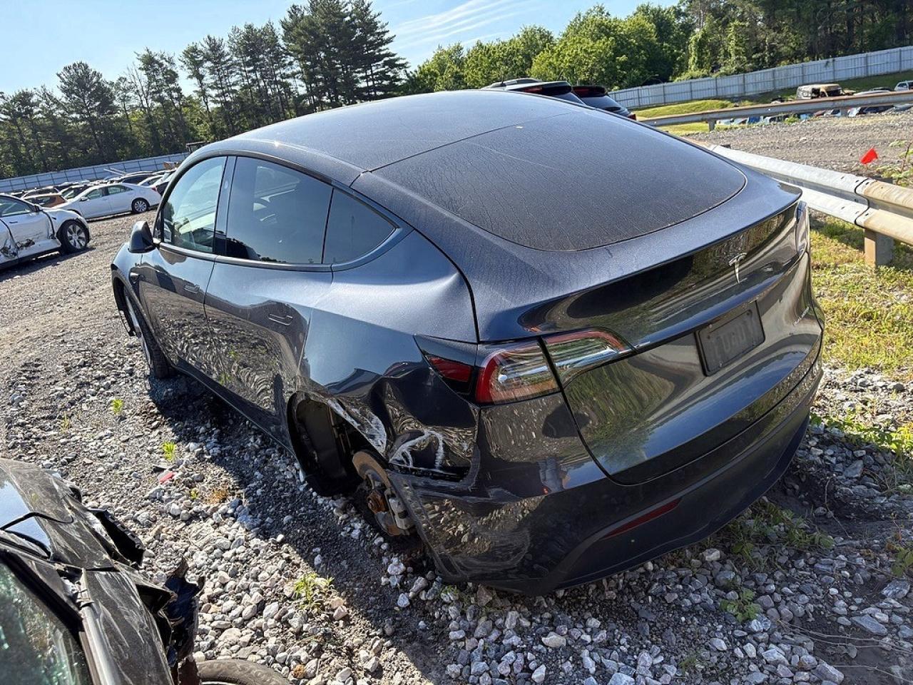 2024 Tesla Model Y - Фото 2