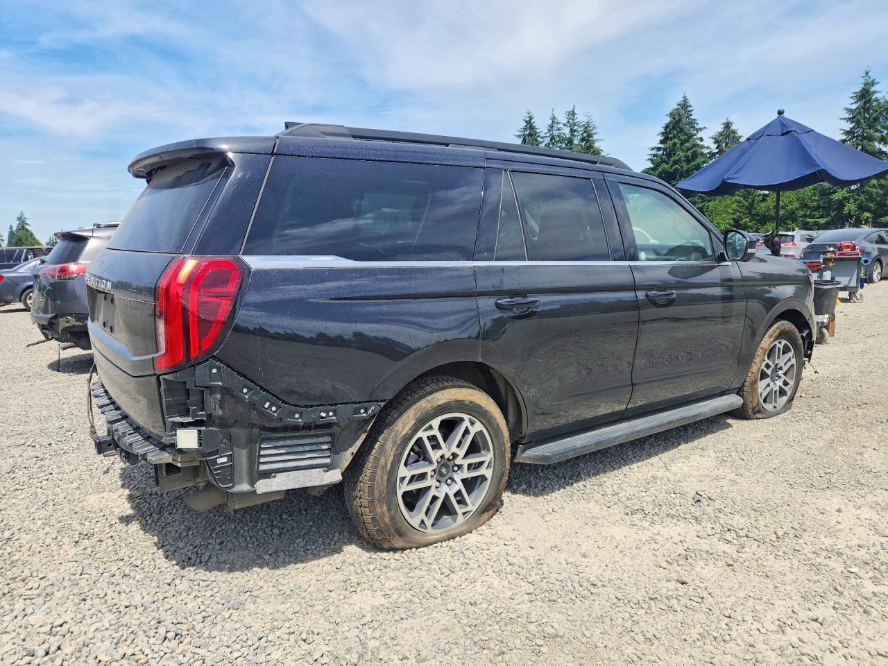 2025 Ford Expedition Active - Фото 3
