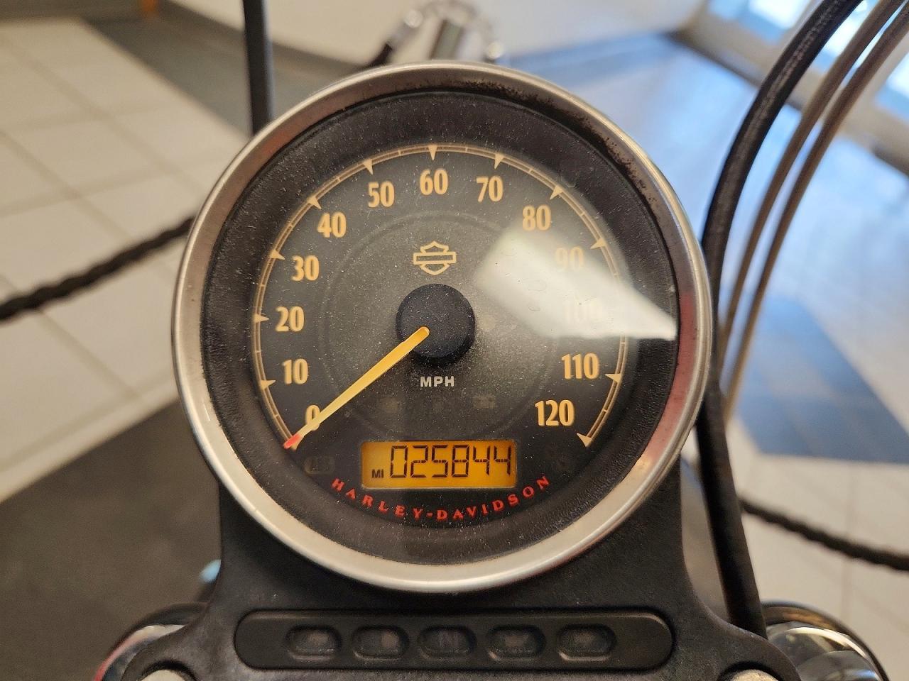 2021 Harley-Davidson Xl883 N - Image 7