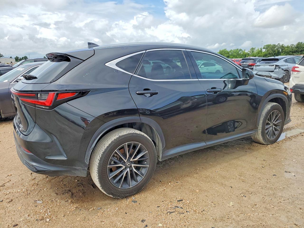 2024 Lexus Nx - Image 3