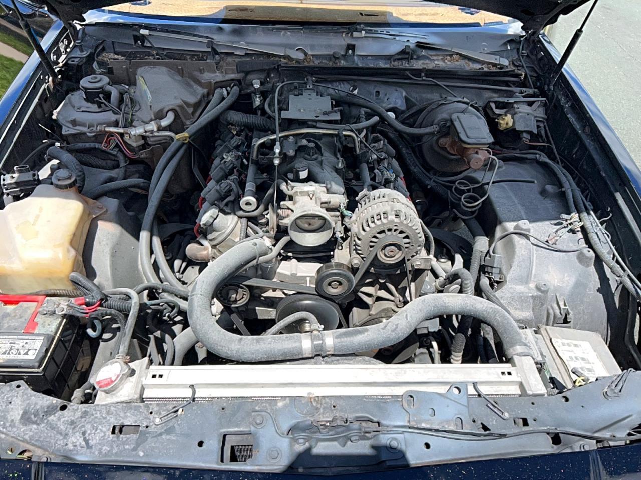 1981 Buick Regal - Image 7