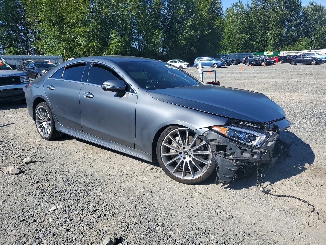 2019 Mercedes-Benz Cls 450 4Matic - Фото 4