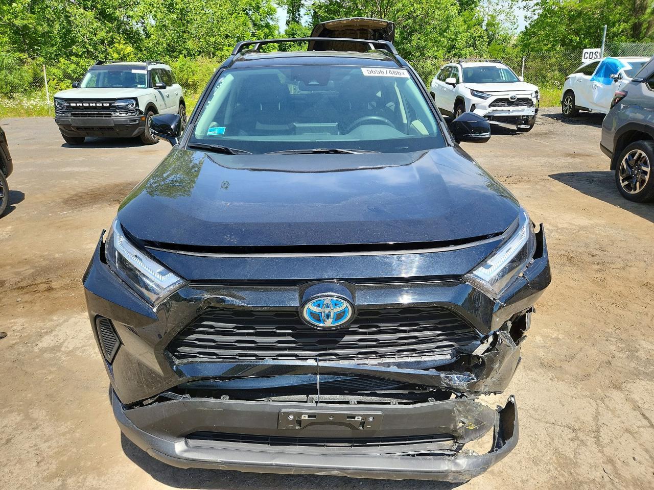 2024 Toyota Rav4 Hybrid Xle - Image 5