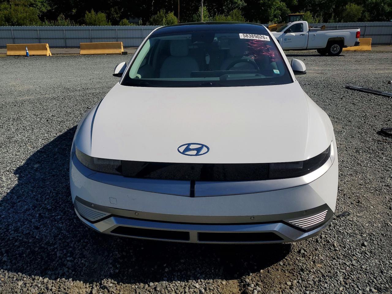 2024 Hyundai Ioniq 5 Limited - Фото 5