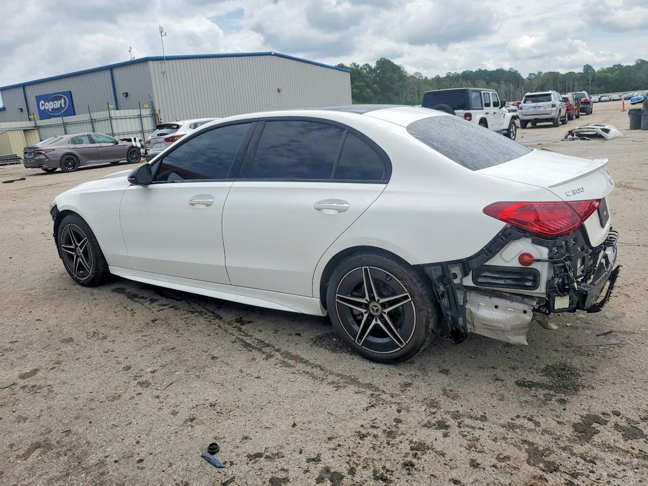 2024 Mercedes-Benz C 300 - Фото 2