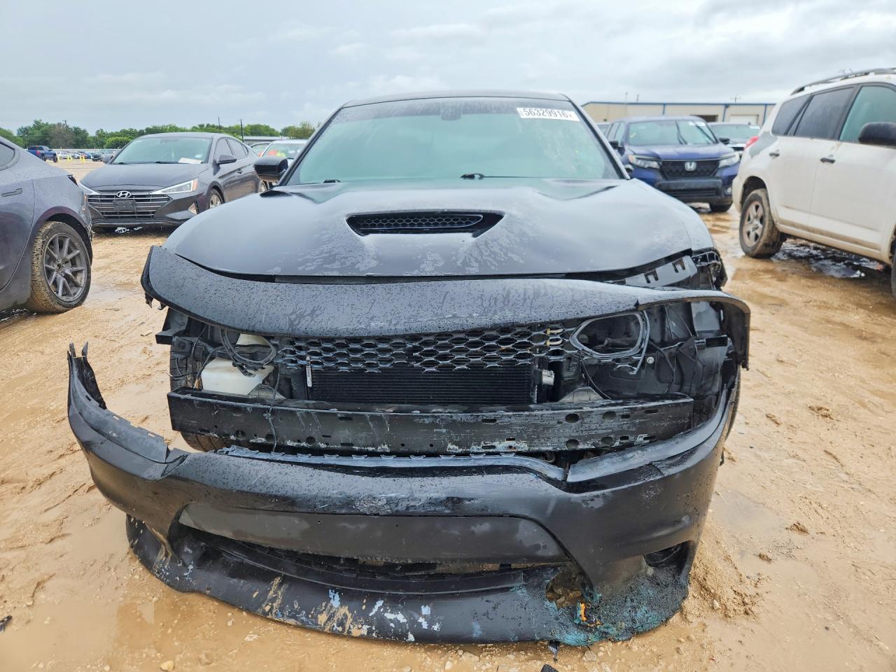 2019 Dodge Charger Scat Pack - Фото 5