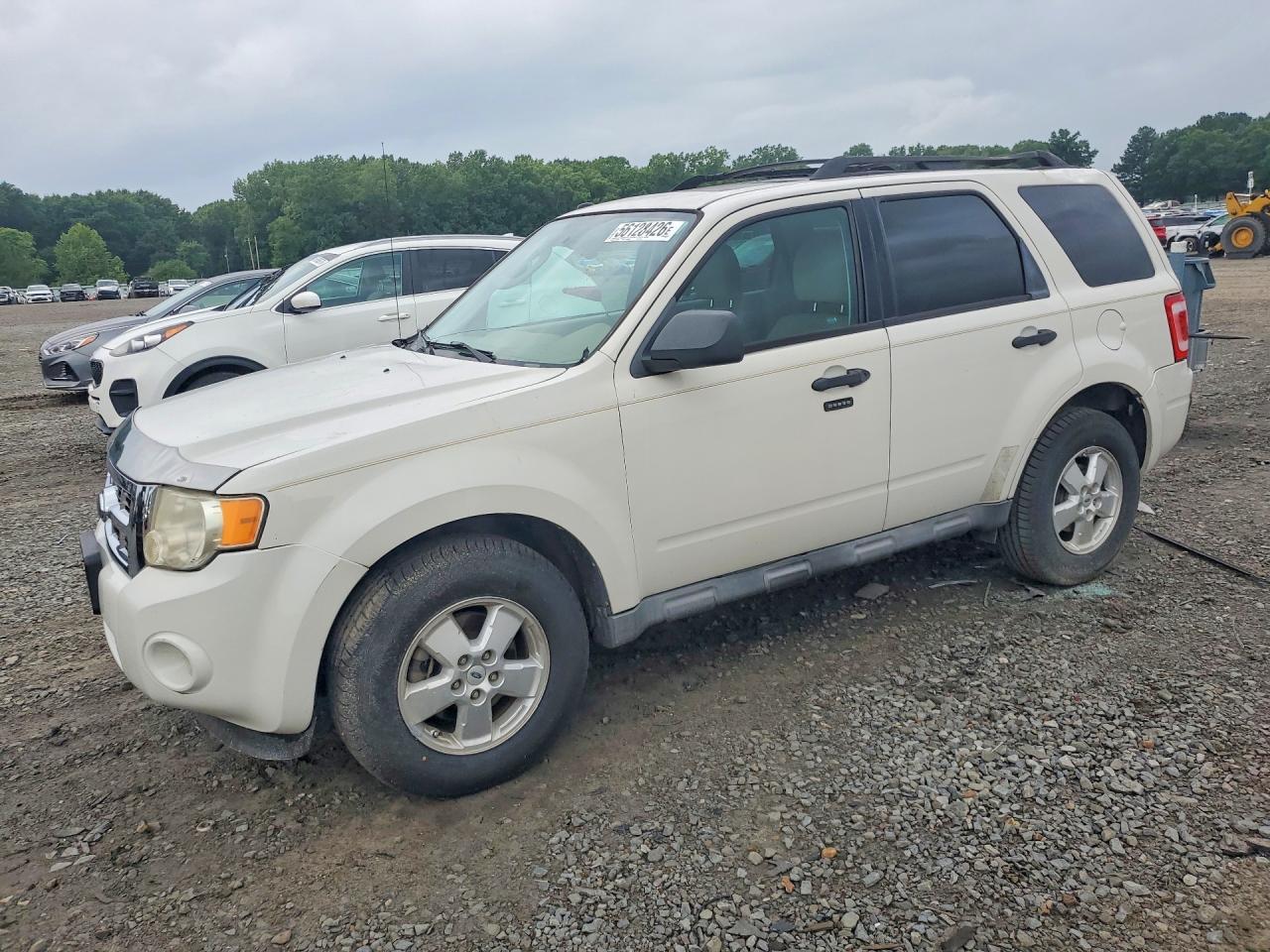 2010 Ford Escape Xlt