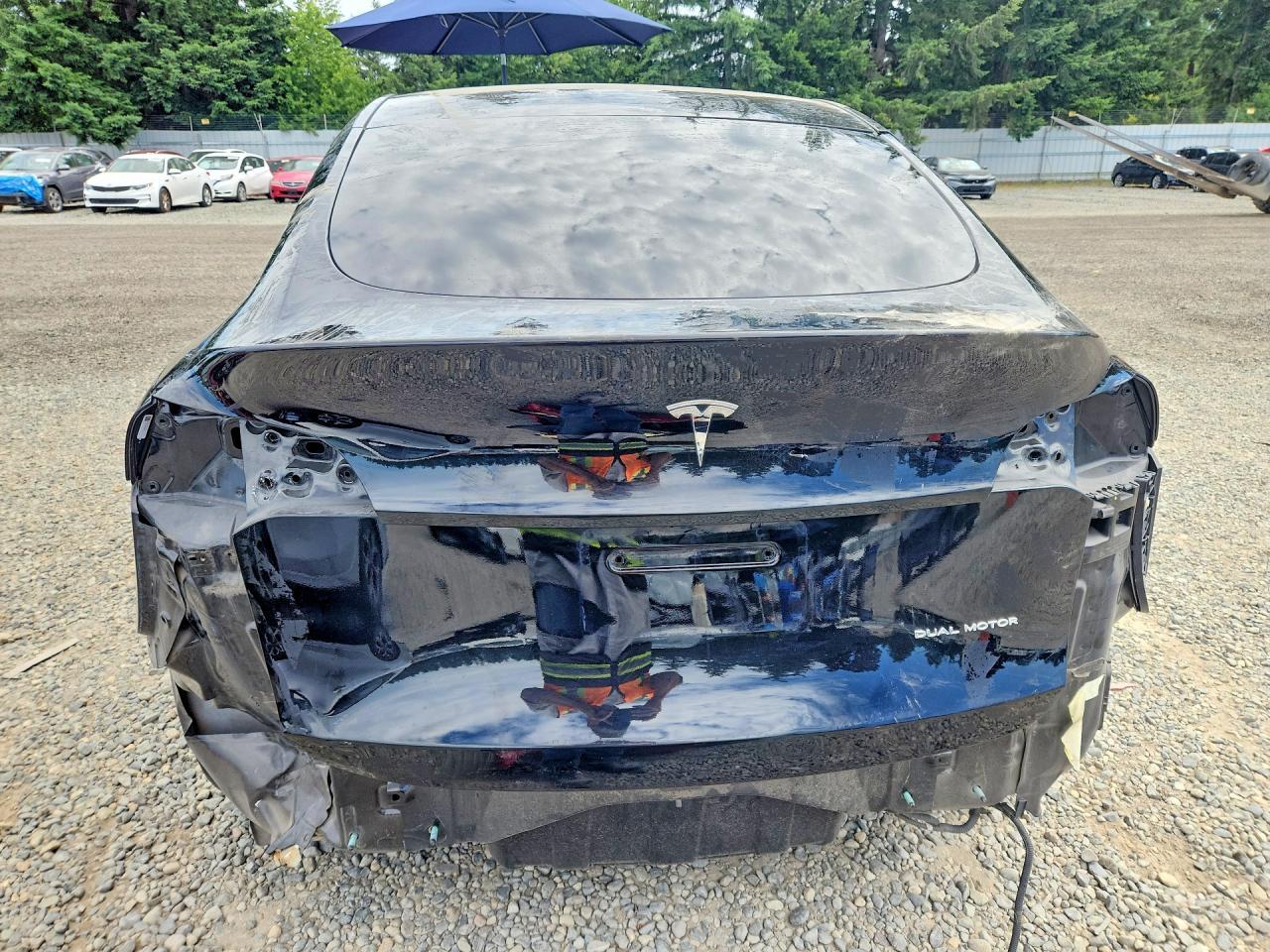 2021 Tesla Model Y - Фото 6