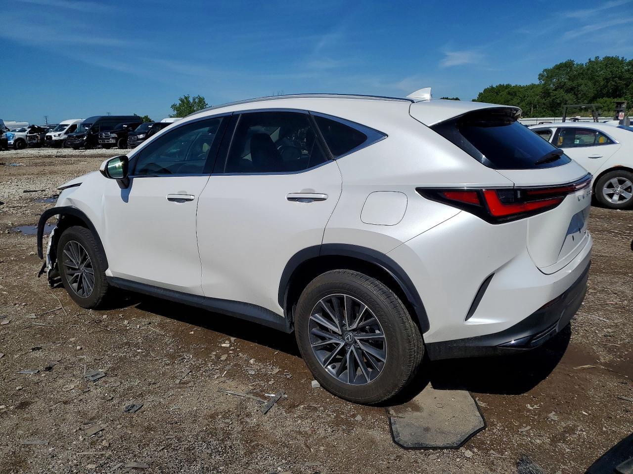 2024 Lexus Nx 350 Base - Image 2