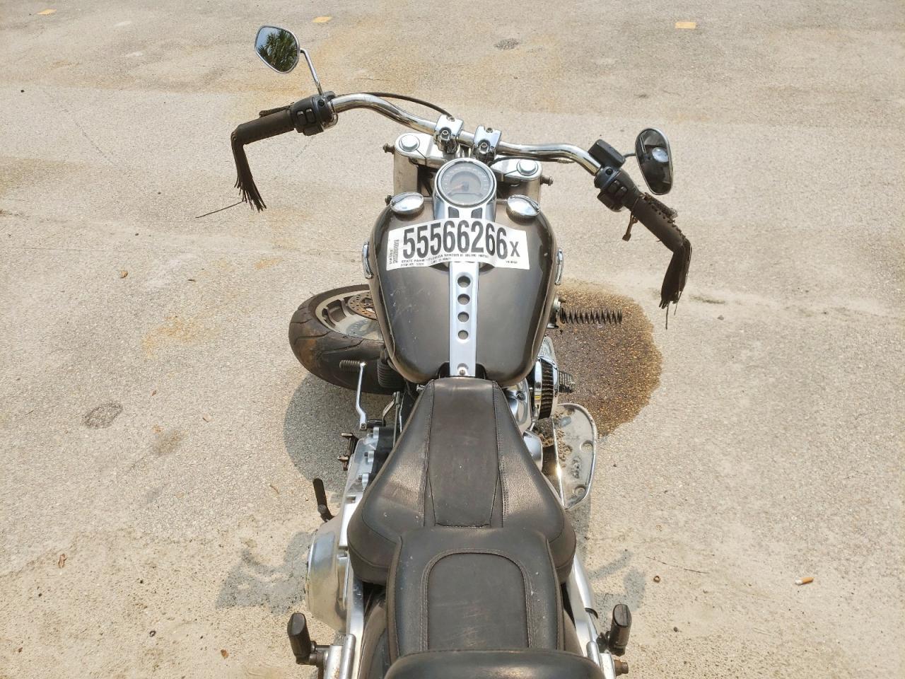 2020 Harley-Davidson Flfbs - Фото 6
