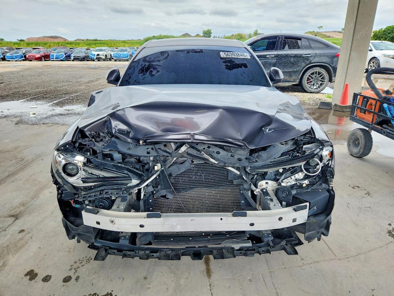 2019 Alfa Romeo Giulia - Фото 5