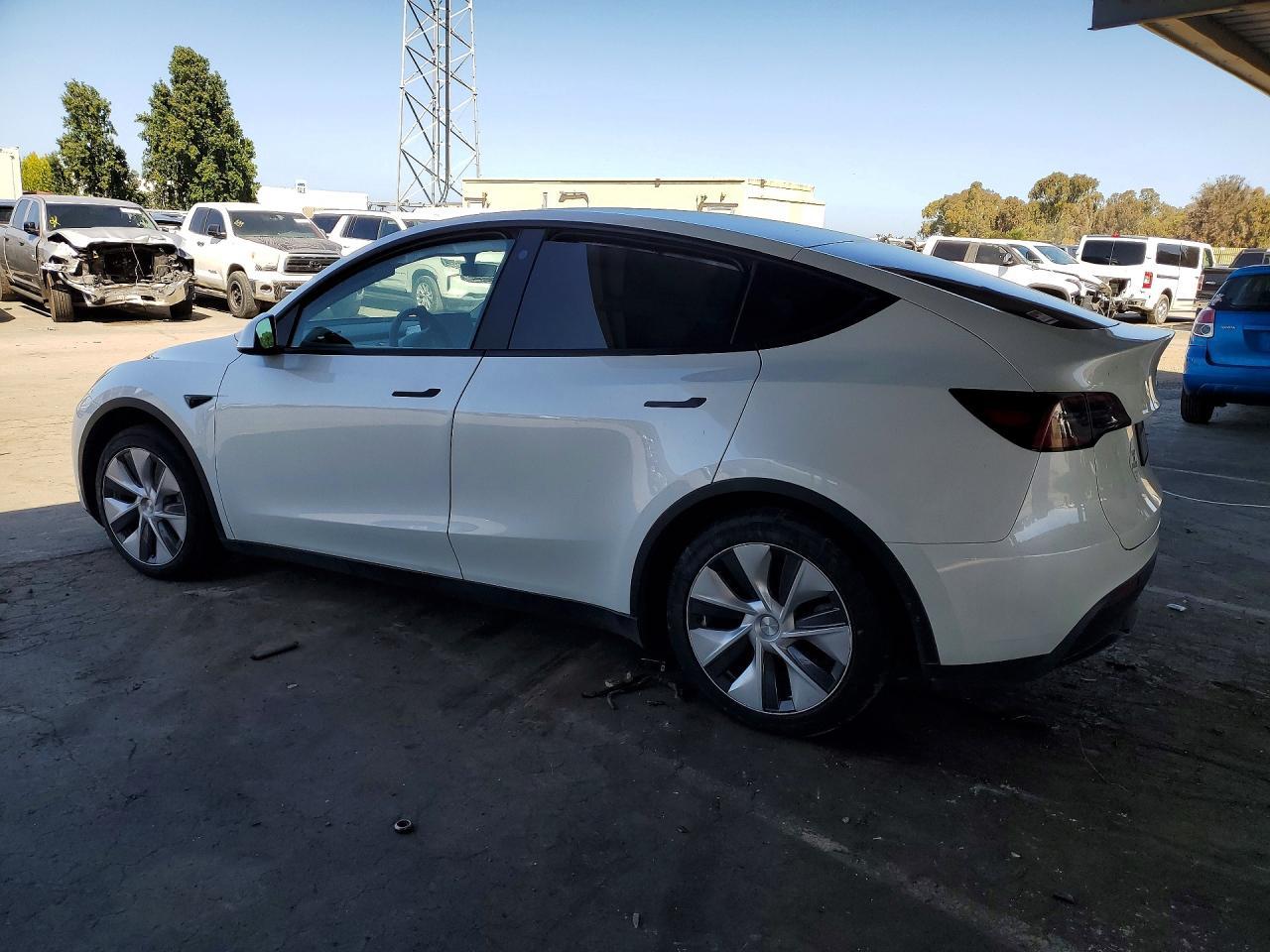 2023 Tesla Model Y - Фото 2