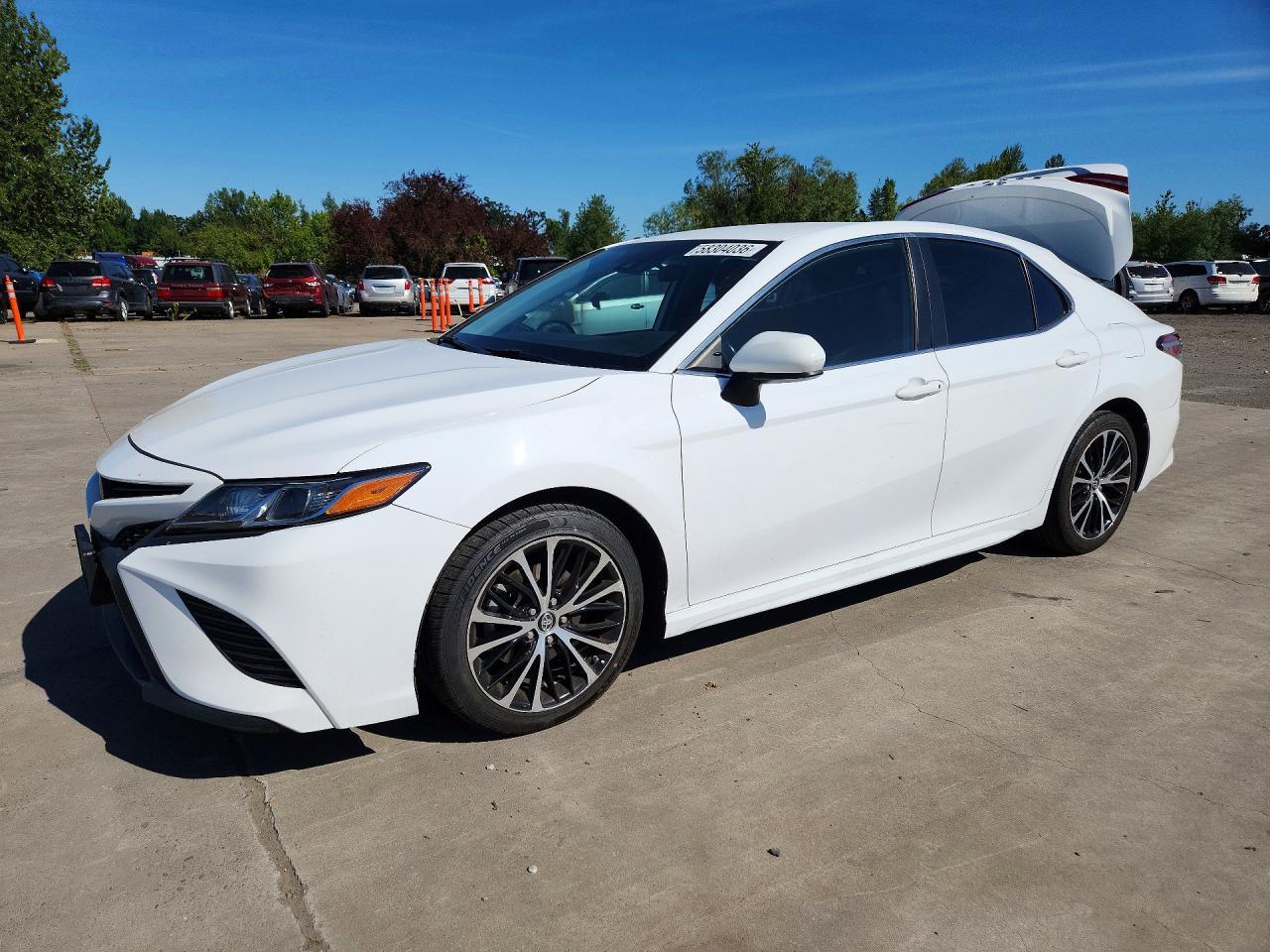 2019 Toyota Camry Se