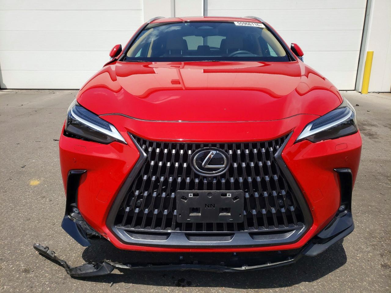 2024 Lexus Nx 350 Luxury - Image 5