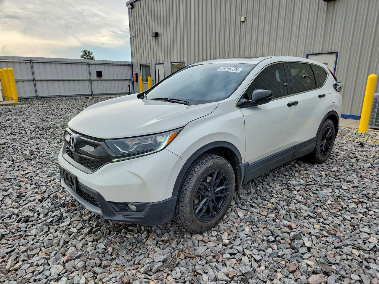 2019 Honda Cr-V Exl