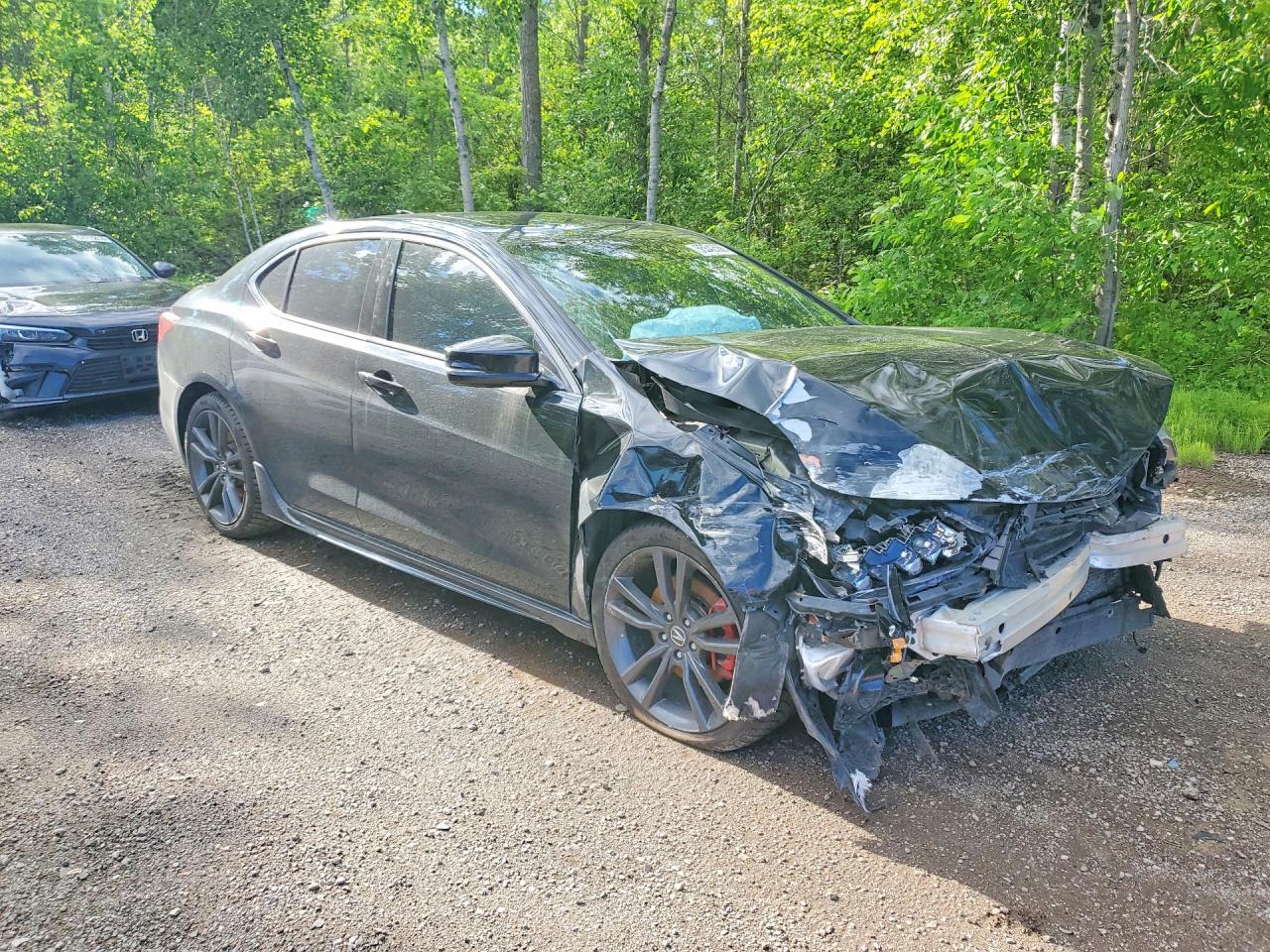 2019 Acura Tlx Advance - Image 4