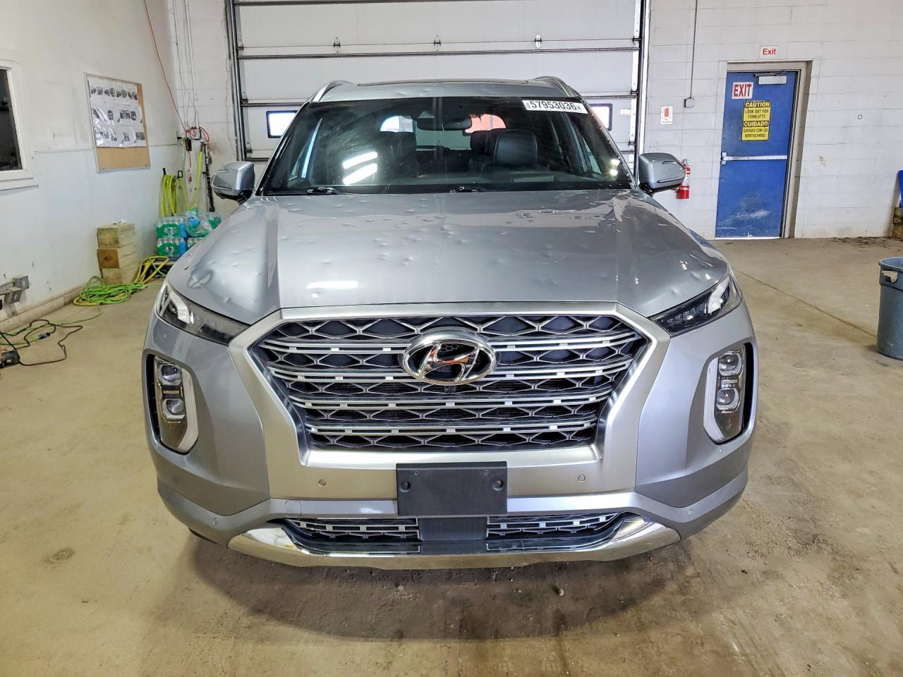 2020 Hyundai Palisade Limited - Фото 5
