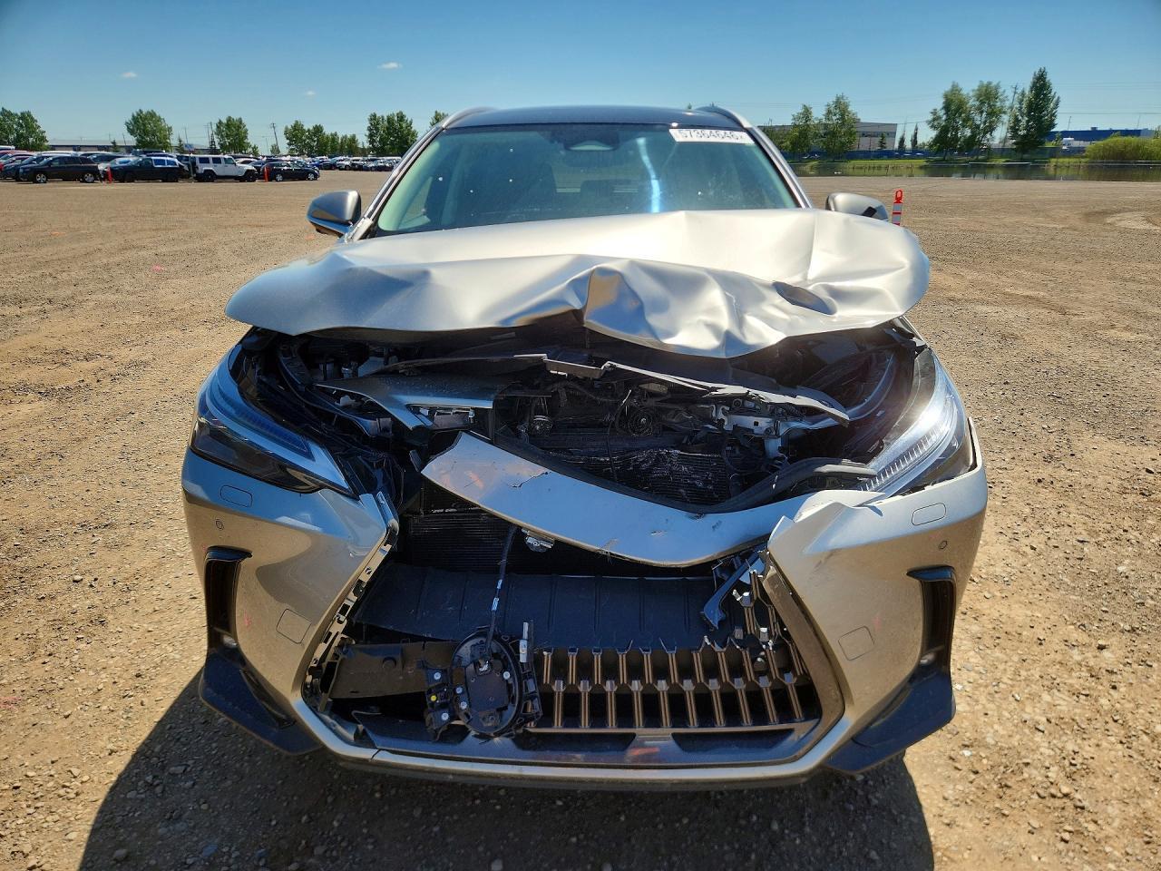 2024 Lexus Nx 350H Premium - Фото 5