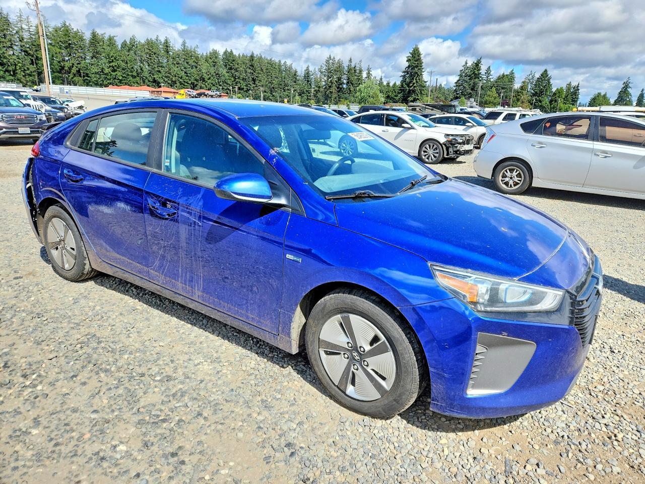 2019 Hyundai Ioniq Blue - Фото 4