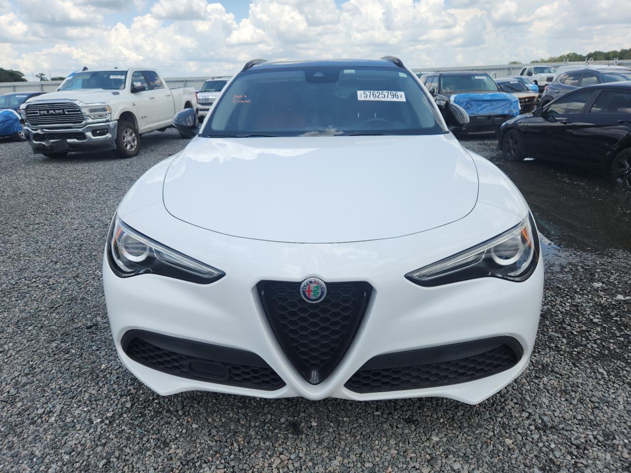 2020 Alfa Romeo Stelvio - Фото 5