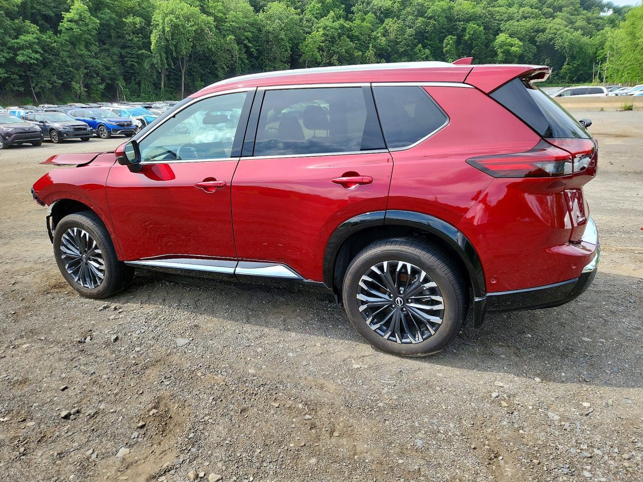 2025 Nissan Rogue Platinum Awd - Фото 2