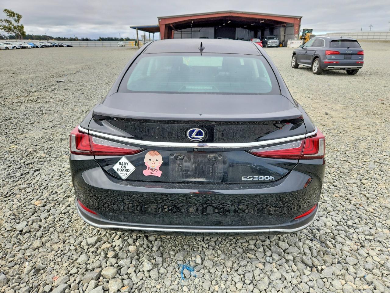 2019 Lexus Es 300H - Image 6