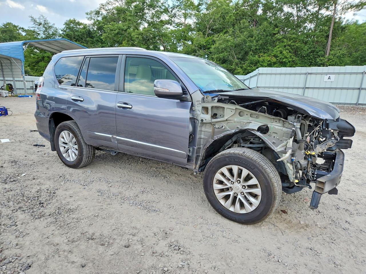 2019 Lexus Gx 460 - Image 4