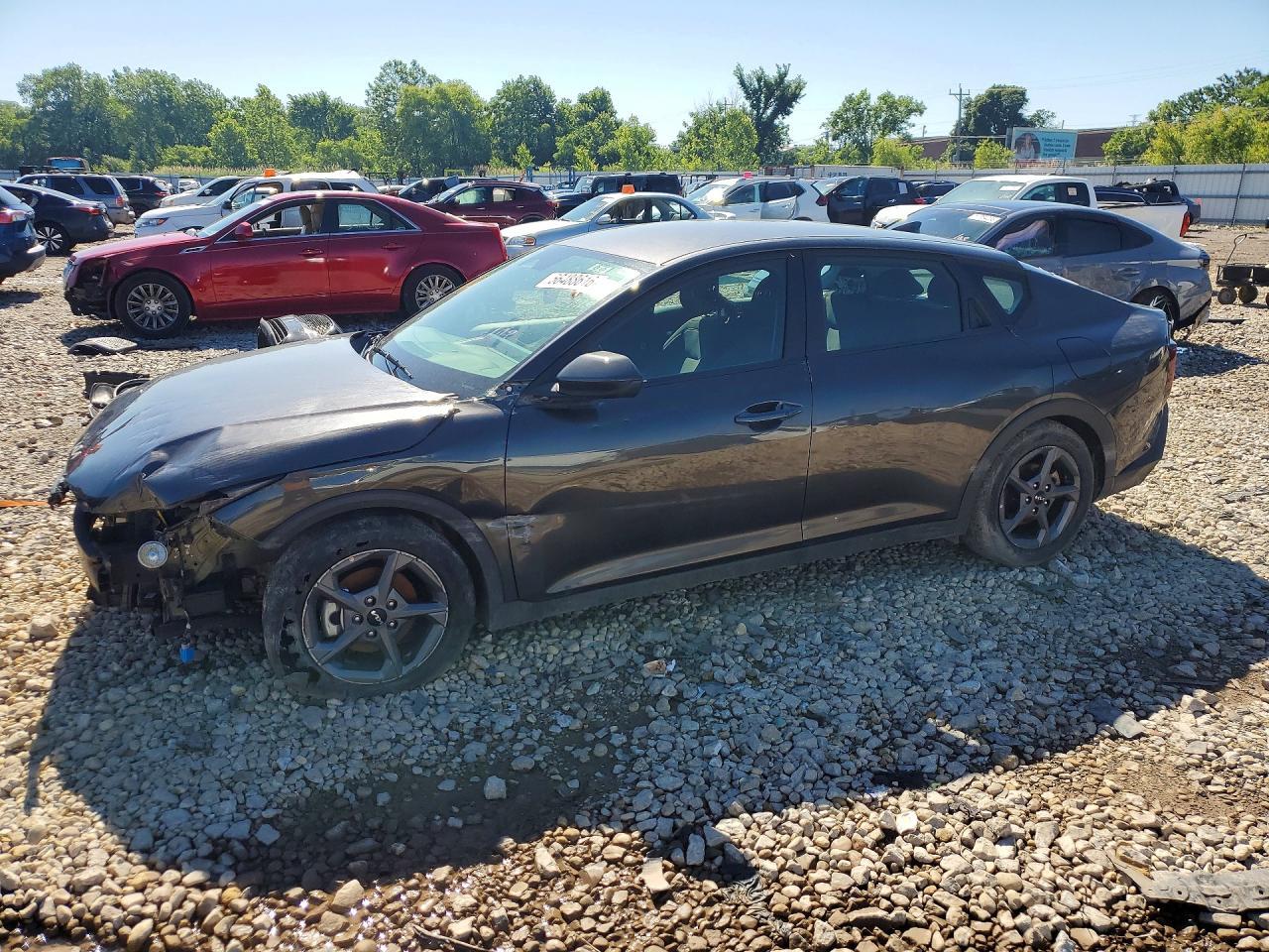 lot