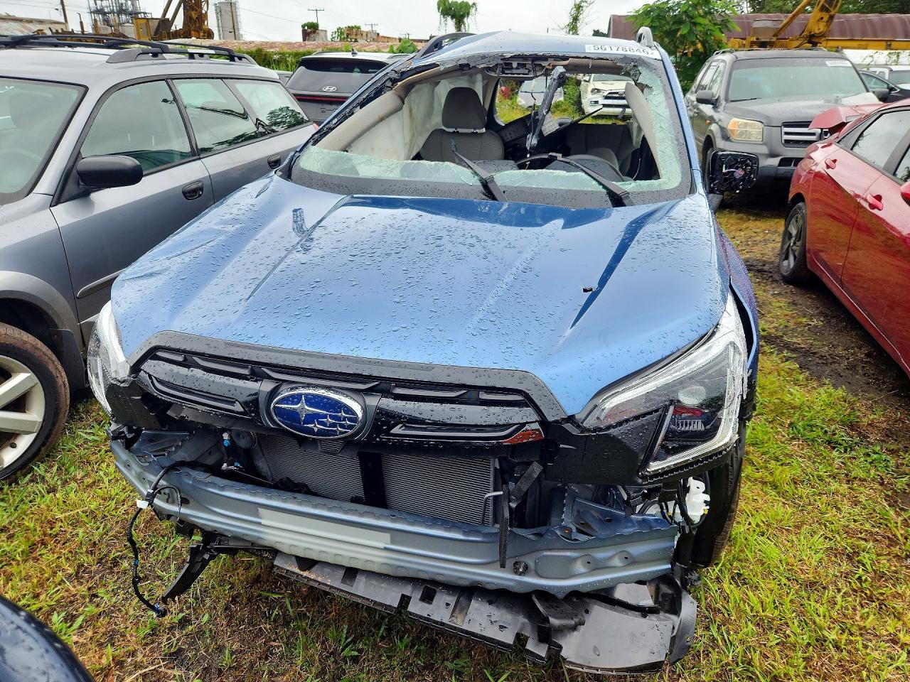 2024 Subaru Forester - Image 5