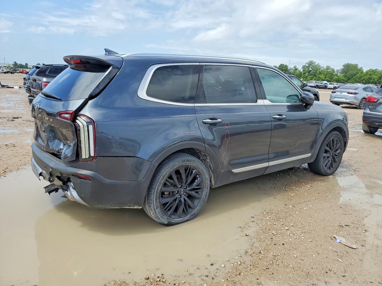 2021 Kia Telluride Sx - Фото 3